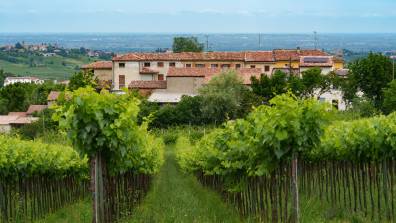 Oltrepò Pavese: il lusso della calma nel cuore del Nord Italia