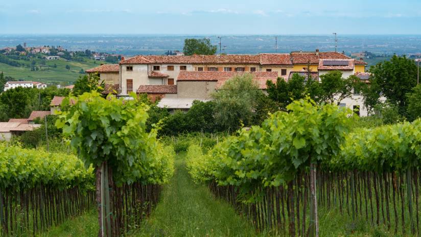 Oltrepò Pavese: il lusso della calma nel cuore del Nord Italia